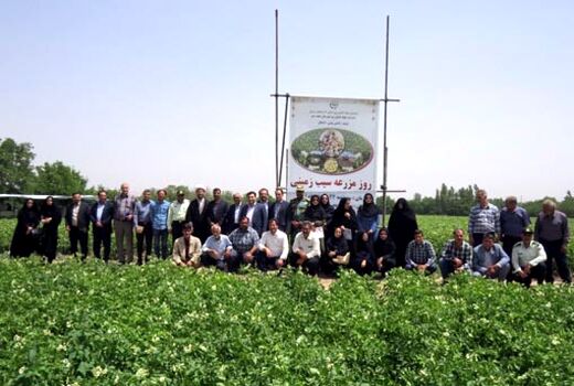  مراسم روز مزرعه سیب زمینی در عجب شیر برگزار شد