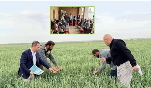 دستاوردهای عملیاتی یازدهمین کاروان ترویج بهره‌وری ویژه کشت‌های پاییزه