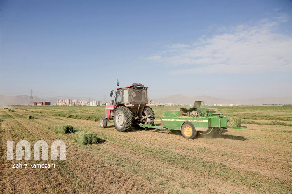 پروژه زمینهای زراعی اوقاف