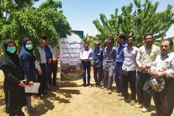اولین گواهی کیفیت گپ برای محصولات باغی قراقوش صادر شد