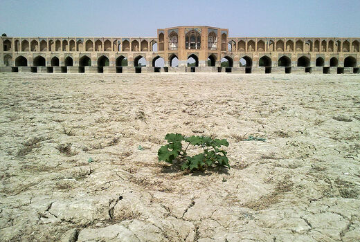 پشمک یزد با طعم گز اصفهان