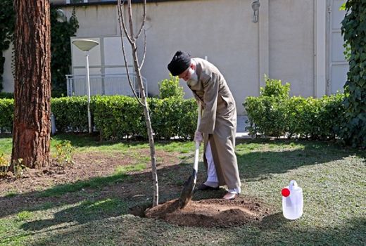 رهبر انقلاب 2 اصله نهال میوه غرس کردند