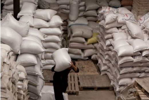 توزیع ۴۰۰ تن آرد اضافه بر سرانه در تابستان جاری