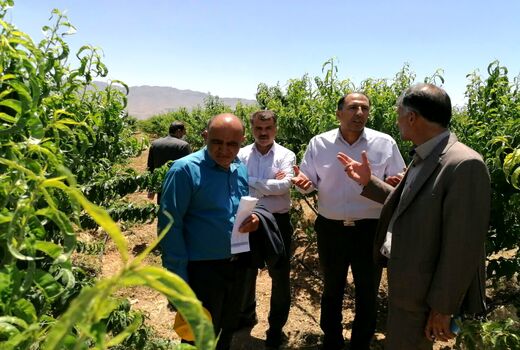بازدید اعضای ستاد یاوران تولید از ایستگاه تحقیقاتی بادام چهارمحال و بختیاری
