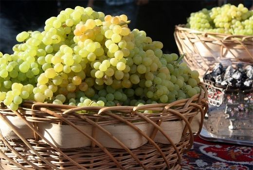 تولید ثروت از انگور  با همکاری باغداران 