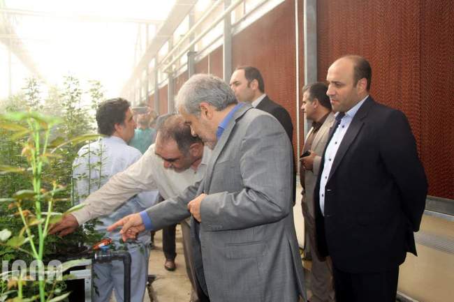 بازدید معاون امور باغبانی وزیر جهاد کشاورزی از پروژه های کشاورزی شهرستان پیشوا