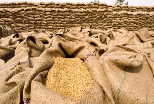 خرید تضمینی 78 هزار تن گندم در 15 روز گذشته