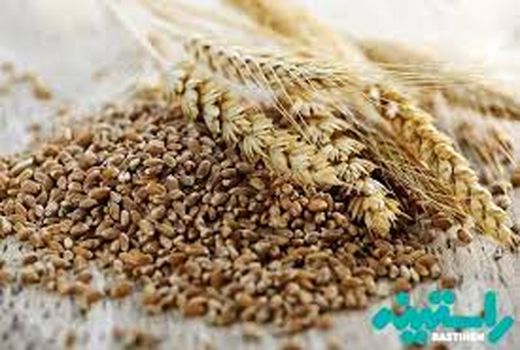 جایگزینی محصولات زراعی در الگوی کشت اراضی کشاورزی استان کرمان