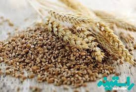 جایگزینی محصولات زراعی در الگوی کشت اراضی کشاورزی استان کرمان