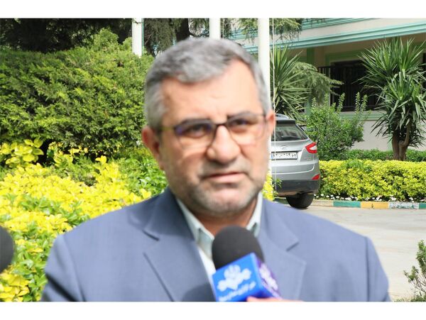 تولید یک میلیون و ۳۰۰ هزار تن شلتوک در مازندران