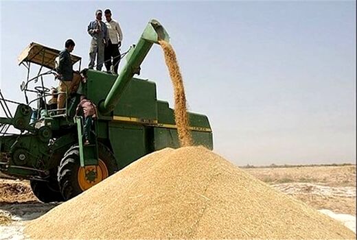افزایش قاچاق با قیمت‌گذاری نامناسب