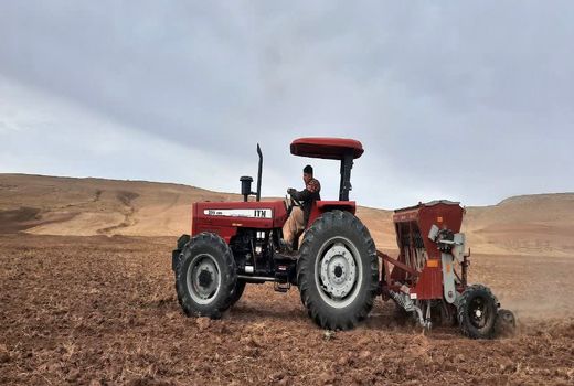 پایان کشت پاییزه محصولات زراعی دیم در شهرستان ویژه مراغه