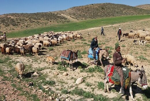 تقدیر جمعی از عشایر سراب باغ شهرستان دهلران از مدیر کل امور عشایر استان ایلام