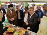 اولویت‌گذاری برای تکمیل زنجیره اقتصادی بادام دستاورد نخستین جشنواره بادام