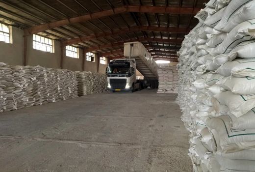 پیش بینی ۵۹  هزار تن کود برای استان ایلام در سال زراعی جاری 