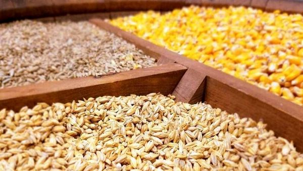 توزیع بیش از  218 هزار تن نهاده دامی در چهارمحال و بختیاری 