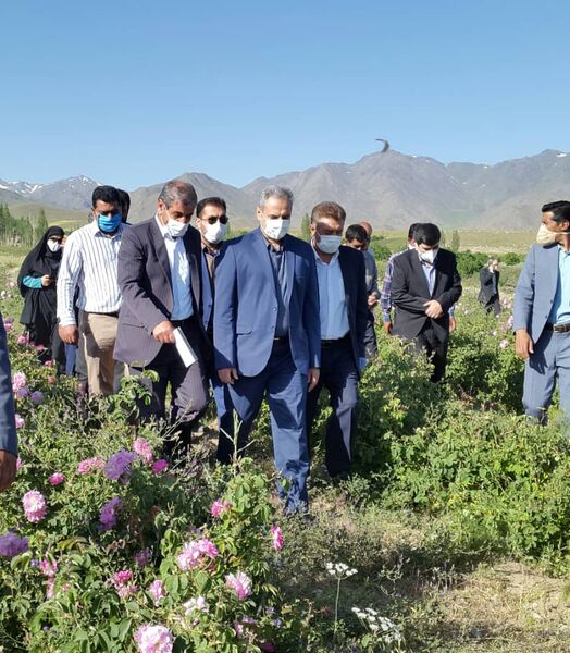 از سرمایه‌گذاران در صنایع تکمیلی حمایت می‌کنیم