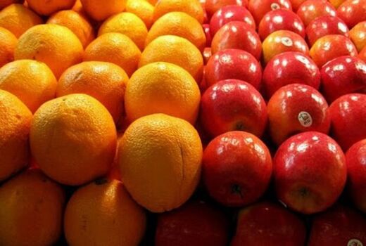 انباشت یک هزار تن میوه در سردخانه‌های استان تهران 