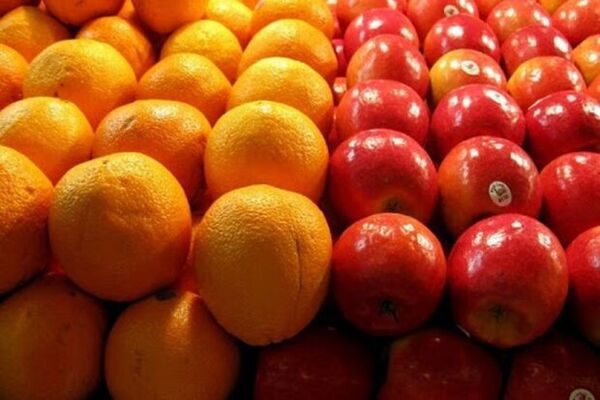 انباشت یک هزار تن میوه در سردخانه‌های استان تهران 