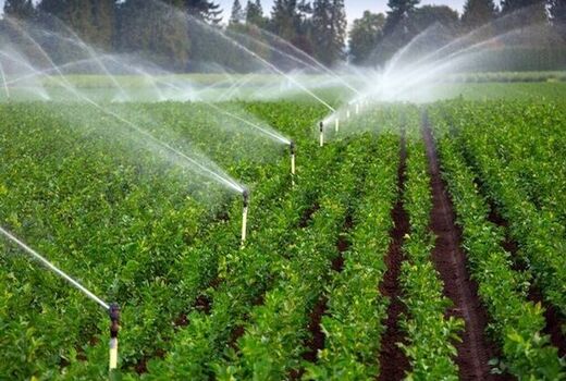 تجهیز 19000 هکتار از اراضی استان البرز به انواع سیستم‌های نوین آبیاری