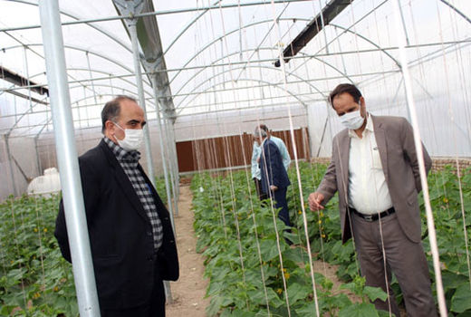 بهره برداری از دومین گلخانه کوچک مقیاس روستای ارسی شهرستان مرند