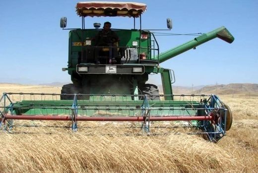 بیش از 108 هزار تن گندم از کشاورزان استان خریداری شد