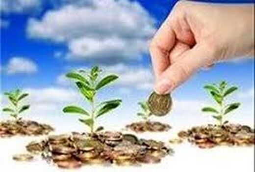 جذب 7 میلیارد  ریال تسهیلات خوداشتغالی توسط  صندوق خرد اعتباری روستایی آبیک