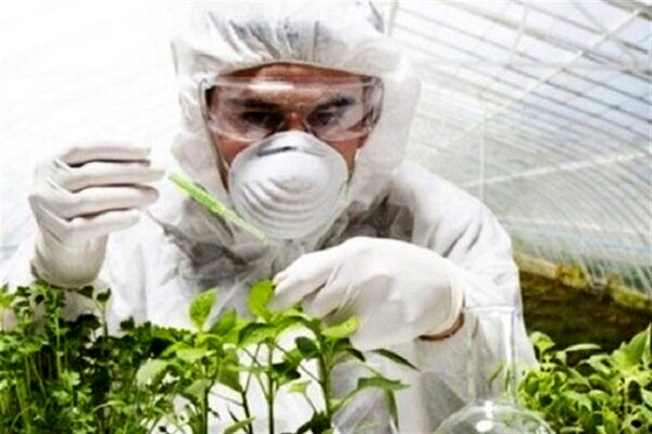 یافتههای تحقیقاتی کشاورزی چهارمحالوبختیاری به بخش اجرا منتقل شد