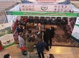 بابرپایی نمایشگاه های ادوات کشاورزی شاهد افزایش راندمان کشاورزی خواهیم شد