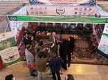 بابرپایی نمایشگاه های ادوات کشاورزی شاهد افزایش راندمان کشاورزی خواهیم شد