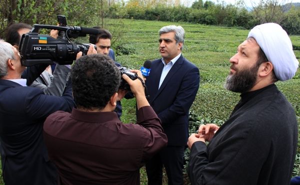 مطالبات چایکاران به ‌طور کامل پرداخت شده است
