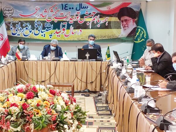 جهش تولید در دیمزارها باهدف معیشت کشاورزان