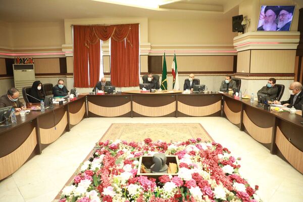 قیمت کشمش براساس مرغوبیت و کیفیت تعیین شود‌