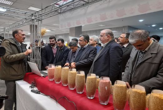  مؤسسه تحقیقات کشاورزی دیم، پیشران توسعه شرکت‌های دانش‌بنیان کشاورزی 