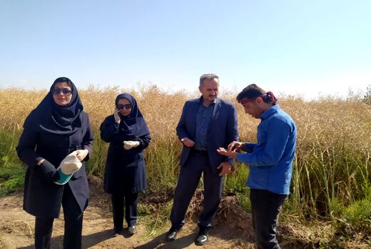 ثبت ۱۴ هزار و ۷۰۰ هکتار کشاورزی قراردادی در شهرستان تبریز