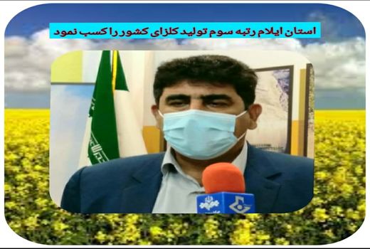 ایلام رتبه سوم در تولید کلزای کشور 