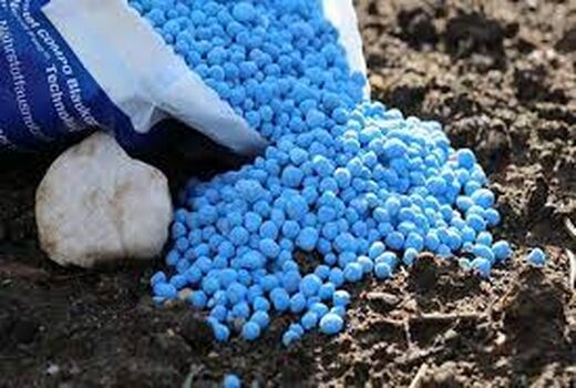 تامین کود شیمیایی در استان زنجان ۳۰ درصد نسبت به سال گذشته افزایش یافته است
