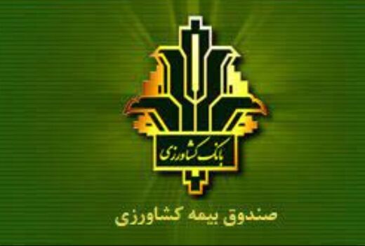 رتبه اول کشوری صندوق بیمه محصولات کشاورزی استان چهارمحال و بختیاری در توسعه ضریب نفوذ بیمه 