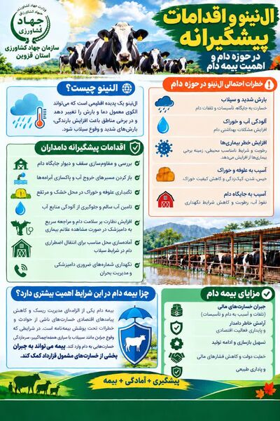 ال نینو و اقدامات پیشگیرانه در حوزه دام و اهمیت بیمه دام