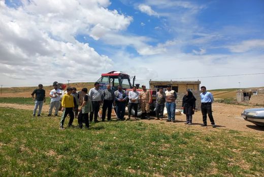 آغاز پویش نجات گندمزارها، نجات اقتصاد کشور در چاراویماق