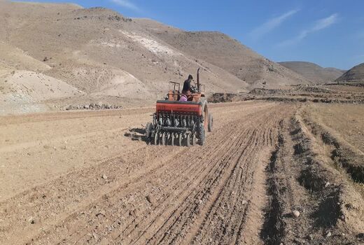 آغاز طرح کاشت دیم مشارکتی در اراضی باویل اسکو با هدف افزایش بهره‌وری کشت گندم