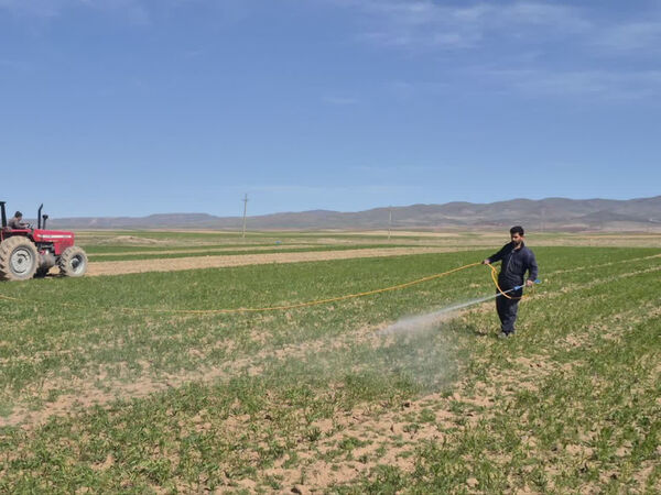 اجرای دو طرح ملی برای تقویت بهره‌وری مزارع دیم در روستای آق‌بابا قزوین