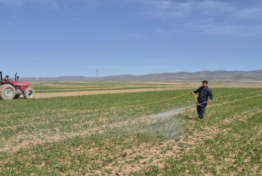 اجرای دو طرح ملی برای تقویت بهره‌وری مزارع دیم در روستای آق‌بابا قزوین