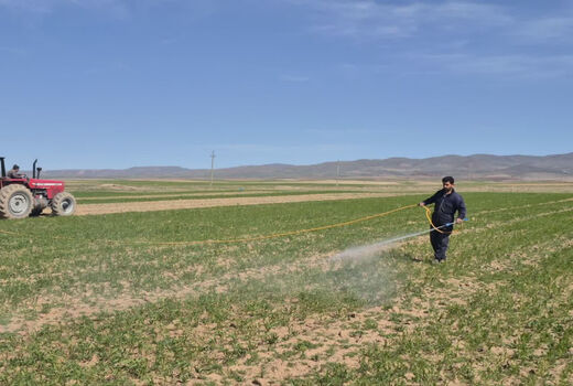 اجرای دو طرح ملی برای تقویت بهره‌وری مزارع دیم در روستای آق‌بابا قزوین
