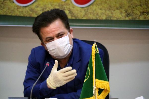 پیش‌بینی ارتقاء سطح زیر کشت نخیلات به 55 هزار هکتار در 5 سال آینده