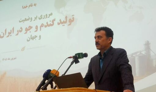 گندم آبی باید بر اساس میزان دسترسی به آب مدیریت شود