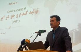 گندم آبی باید بر اساس میزان دسترسی به آب مدیریت شود