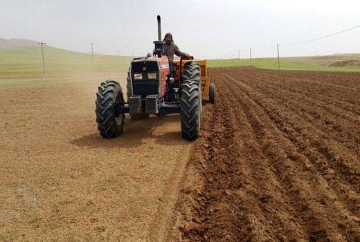 یخبندان کشت حبوبات در شیروان را به تأخیر انداخت