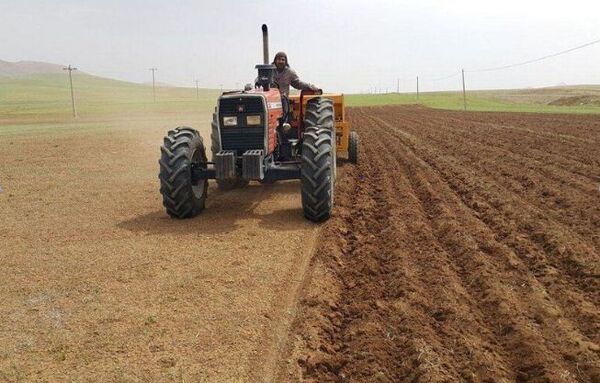 یخبندان کشت حبوبات در شیروان را به تأخیر انداخت