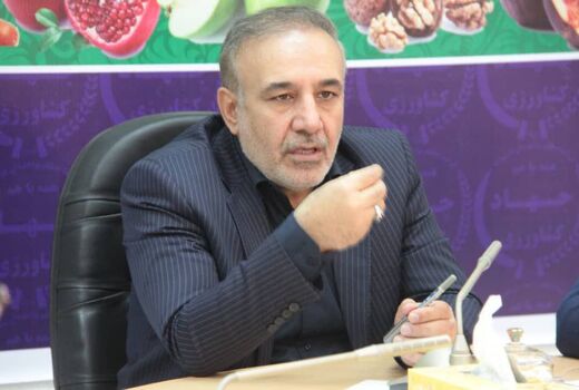 ۲۱۳۶ هکتار باغات مثمر در اراضی شیب دار استان لرستان کشت شده است